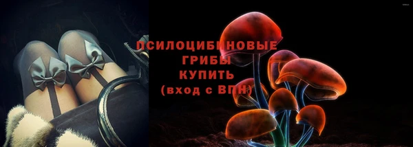 твердый Алексеевка